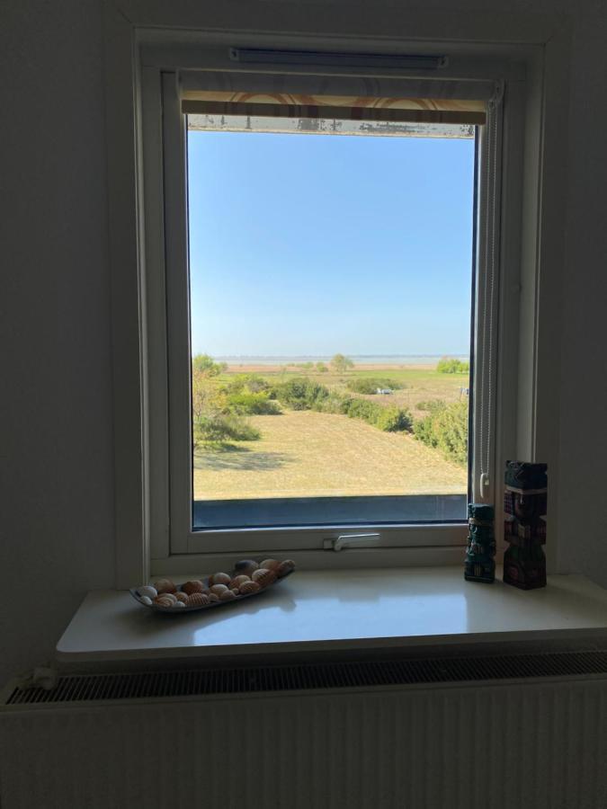 Freistehendes Einfamilienhaus Mit Boddenblick Naehe Ostsee Fuhlendorf  Zewnętrze zdjęcie