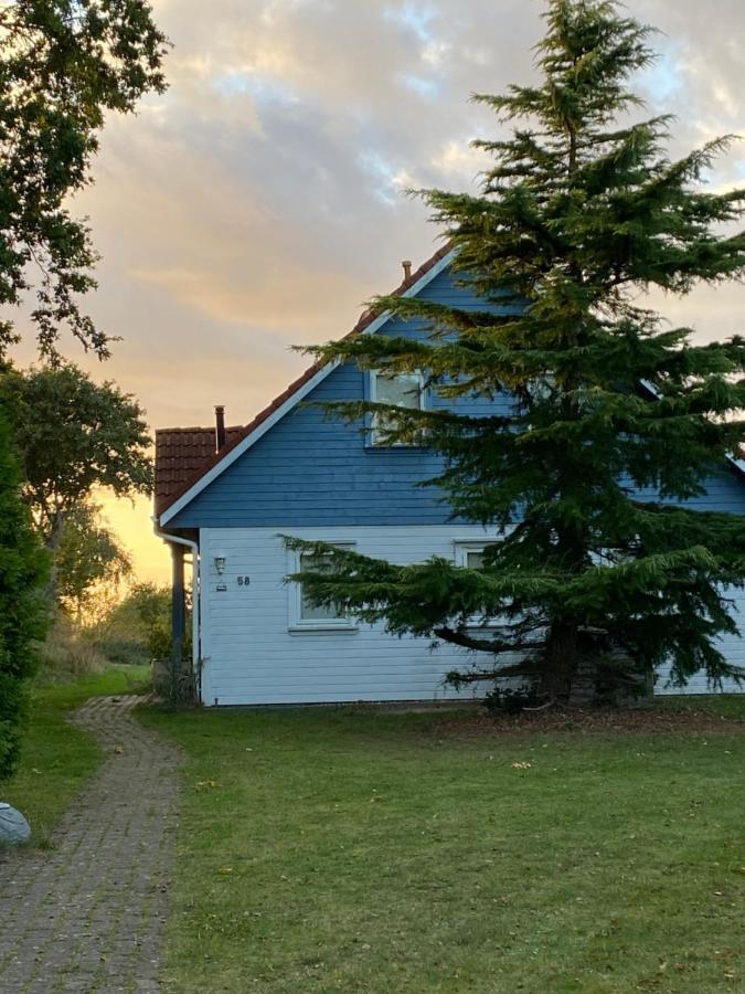 Freistehendes Einfamilienhaus Mit Boddenblick Naehe Ostsee Fuhlendorf  Zewnętrze zdjęcie